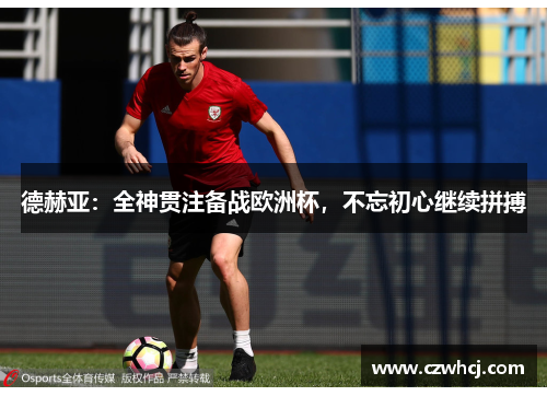 德赫亚：全神贯注备战欧洲杯，不忘初心继续拼搏