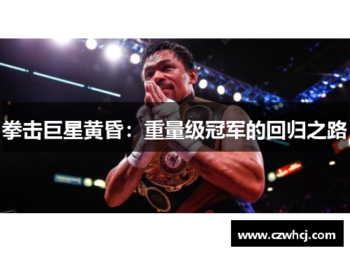 拳击巨星黄昏：重量级冠军的回归之路